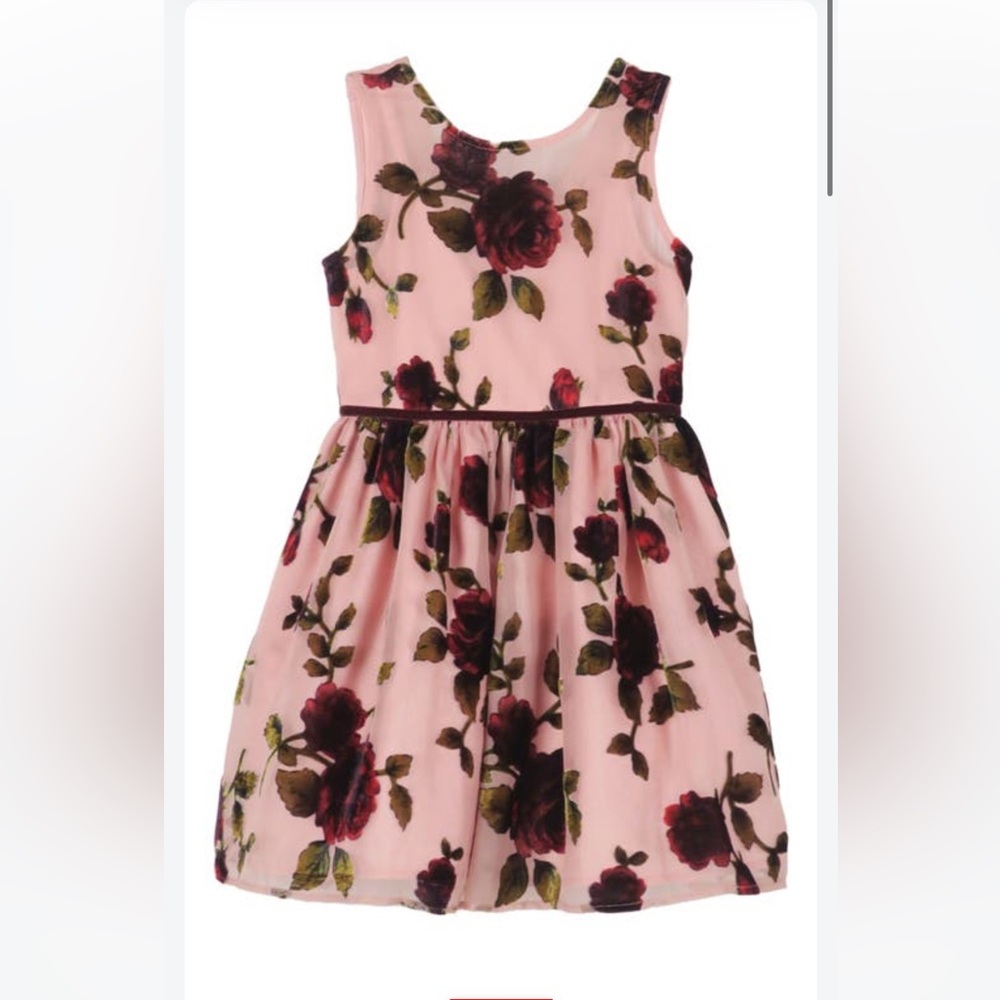 Zunie Kids' Rose Sleeveless Chiffon Party Dress Size 10